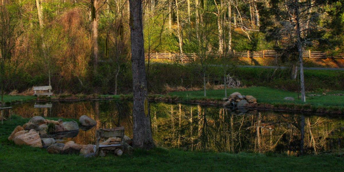 Escape to our Tiny Cabins 🌲🧺💫 Features: - Mountain Views - Perfect for a  couple's retreat - Mini refrigerator & microwave - Coffee…