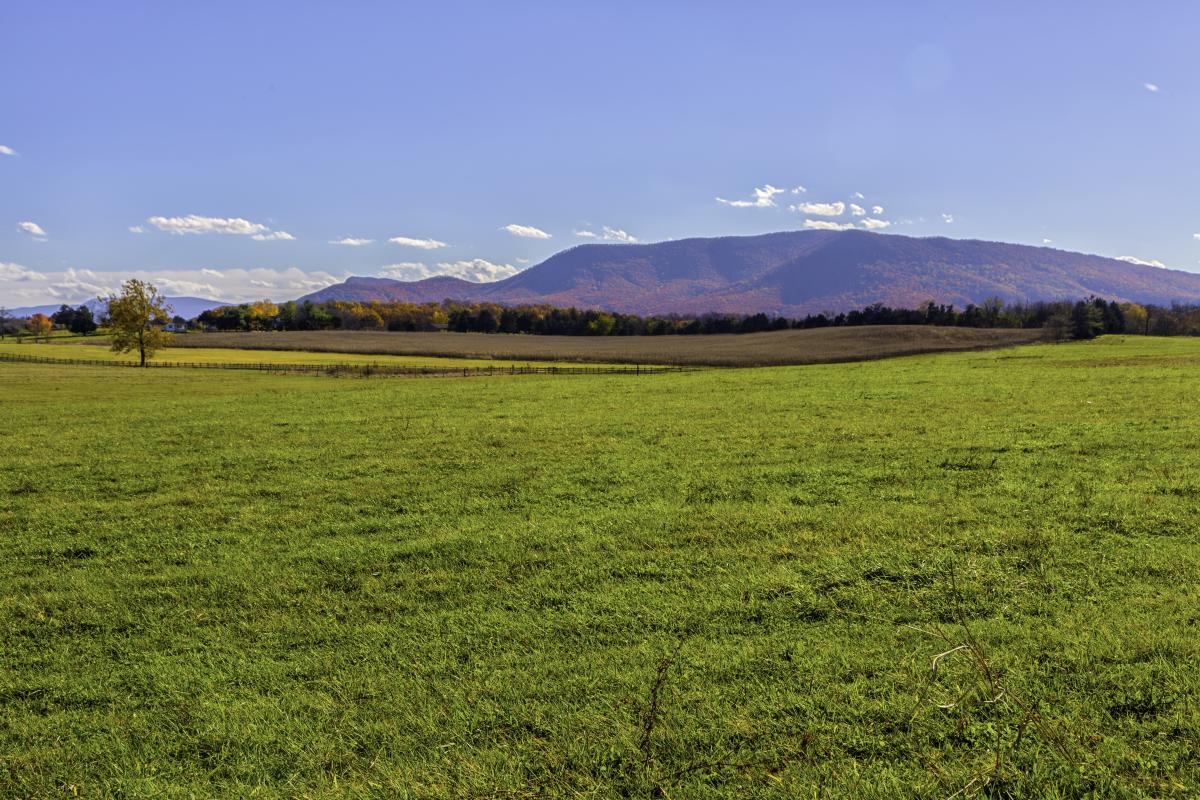 Middletown