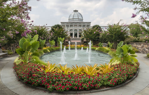 Southern Traditions of Night Blooms & Bloom Parties - Lewis Ginter  Botanical Garden