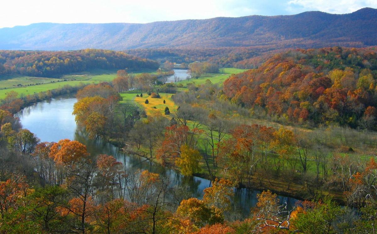 are dogs allowed in shenandoah river state park