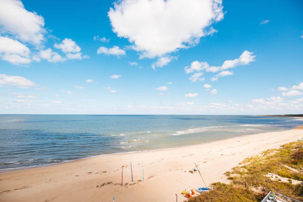 Chesapeake Bay Beaches