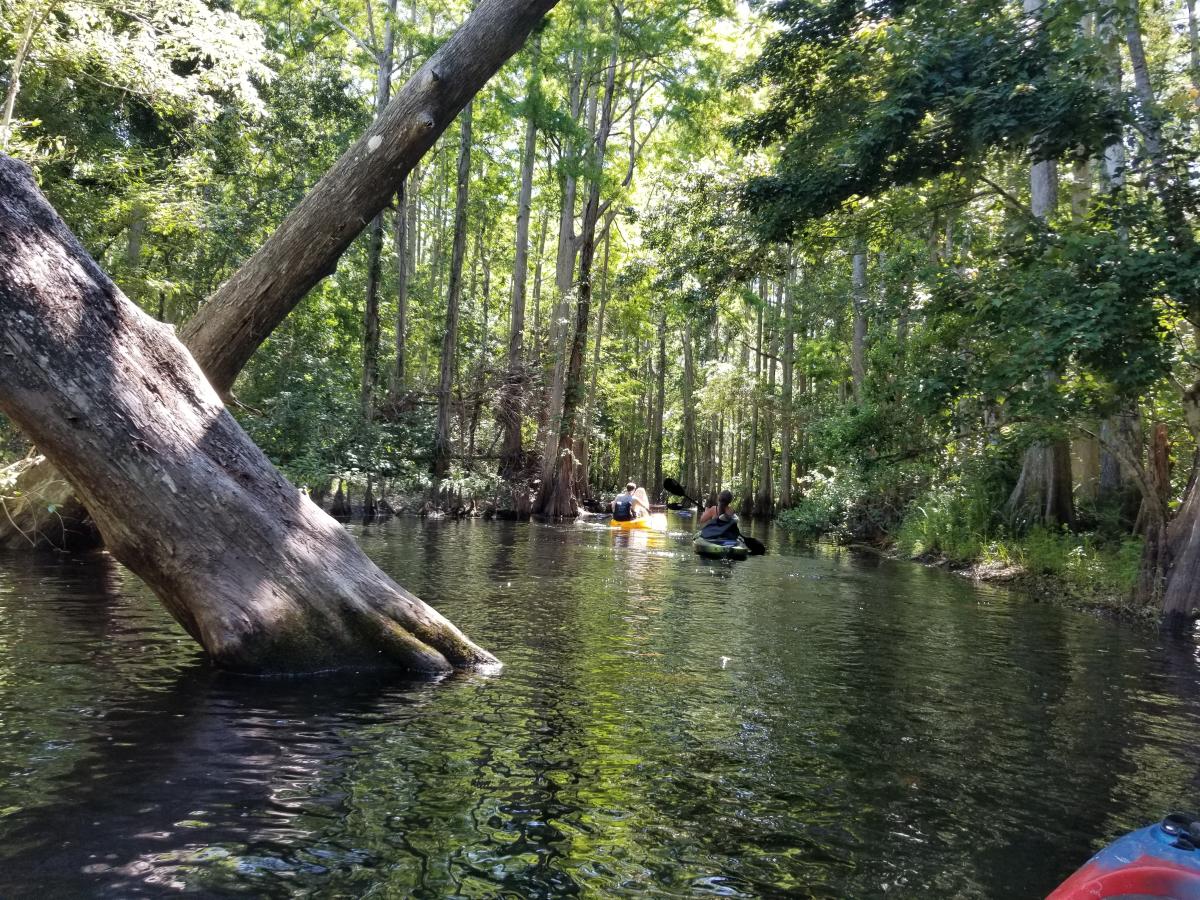 The Paddling Center at Shingle Creek in Kissimmee VISIT FLORIDA