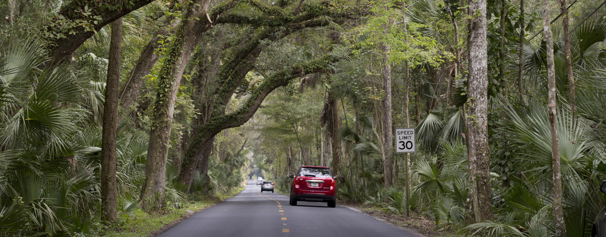 Ormond Scenic Loop & Trail in Ormond Beach | VISIT FLORIDA