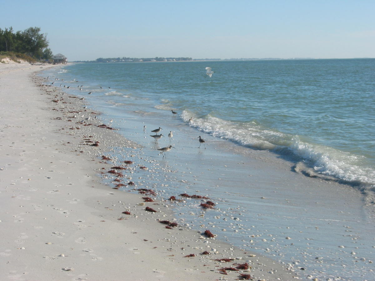 Don Pedro Island State Park in Cape Haze VISIT FLORIDA