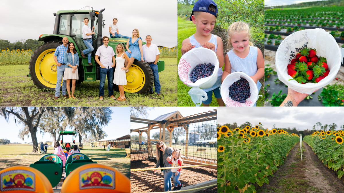 Amber Brooke Farms Williston in Williston VISIT FLORIDA