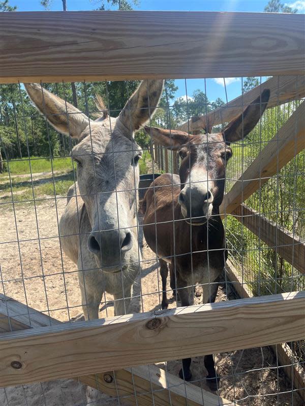 Alaqua Animal Refuge in Freeport VISIT FLORIDA