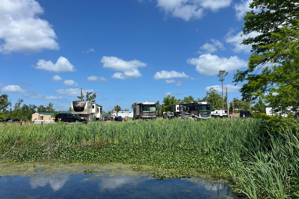 Florida Caverns RV Resort in Marianna VISIT FLORIDA