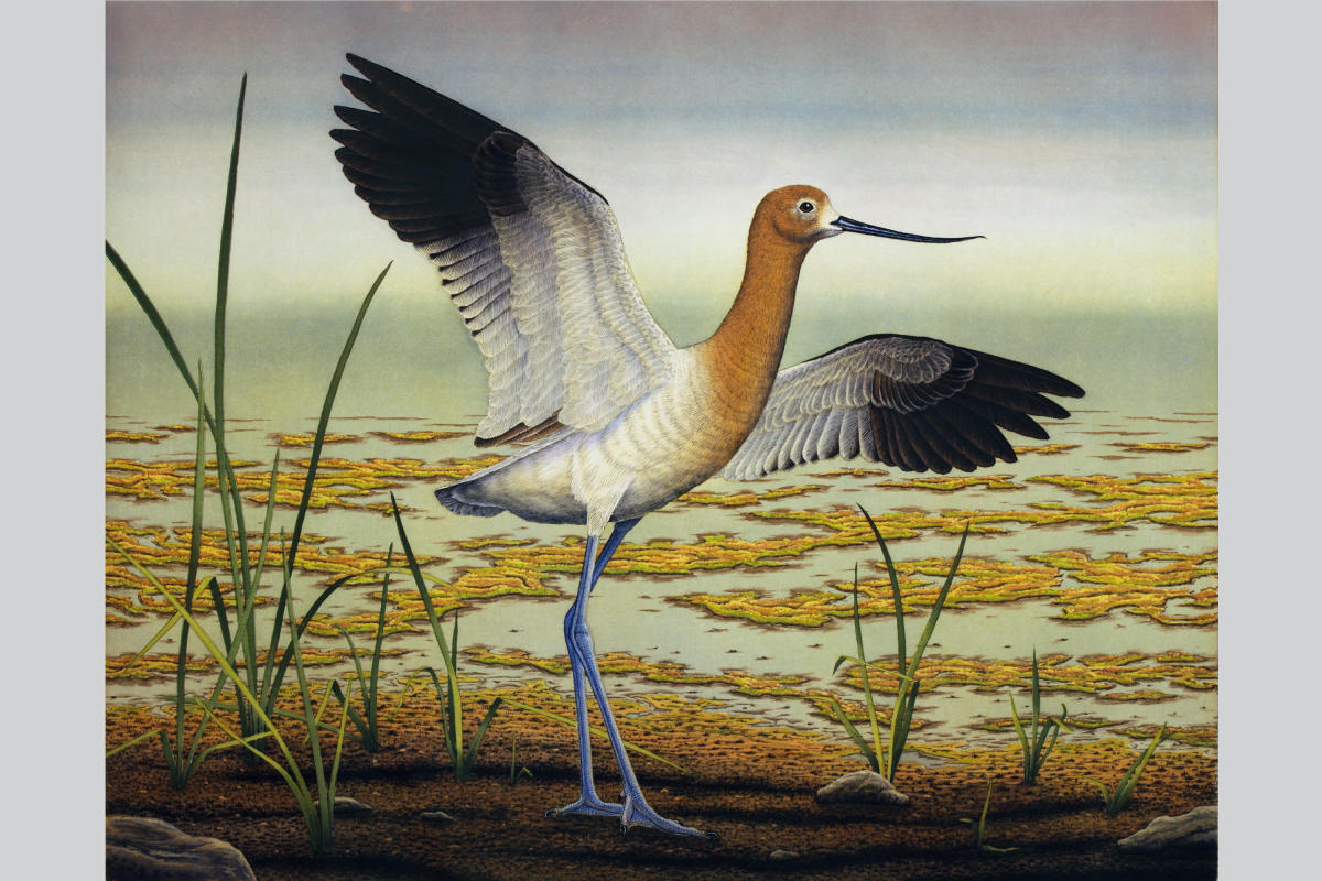 "Wings of Splendor" The Works of John Costin in Ormond Beach VISIT