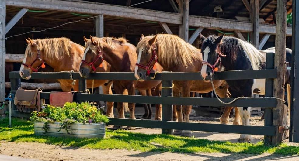 Circle B Ranch