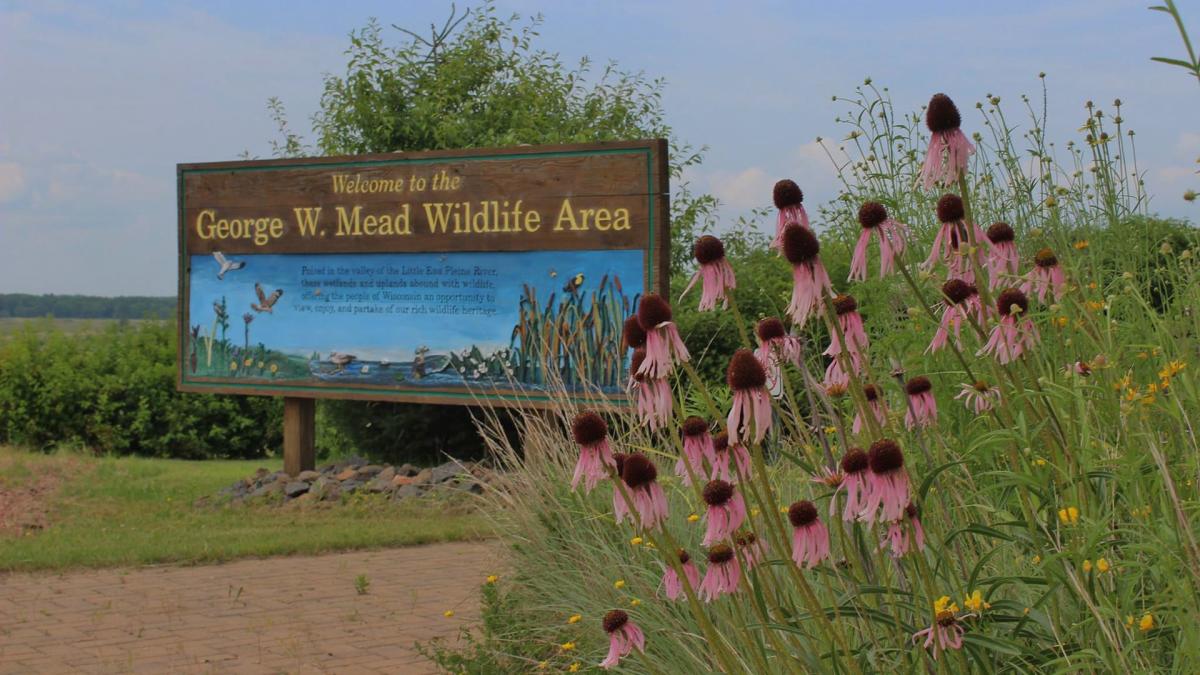 George W. Mead Wildlife Area | Milladore, WI