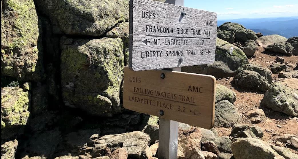 RAKUDA shina FARSHINA × OLD MOUNTAIN RAKUDA shina FARSHINA × OLD MOUNTAIN China's Southern