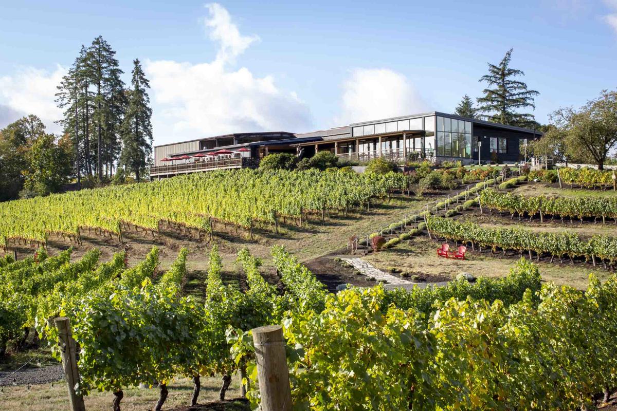 Elk Cove Vineyards