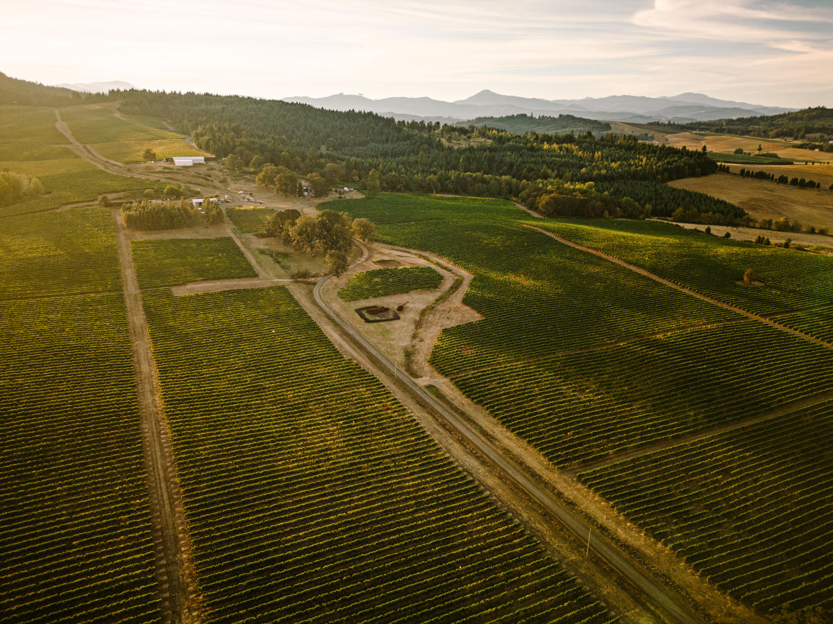 Benton-Lane Winery