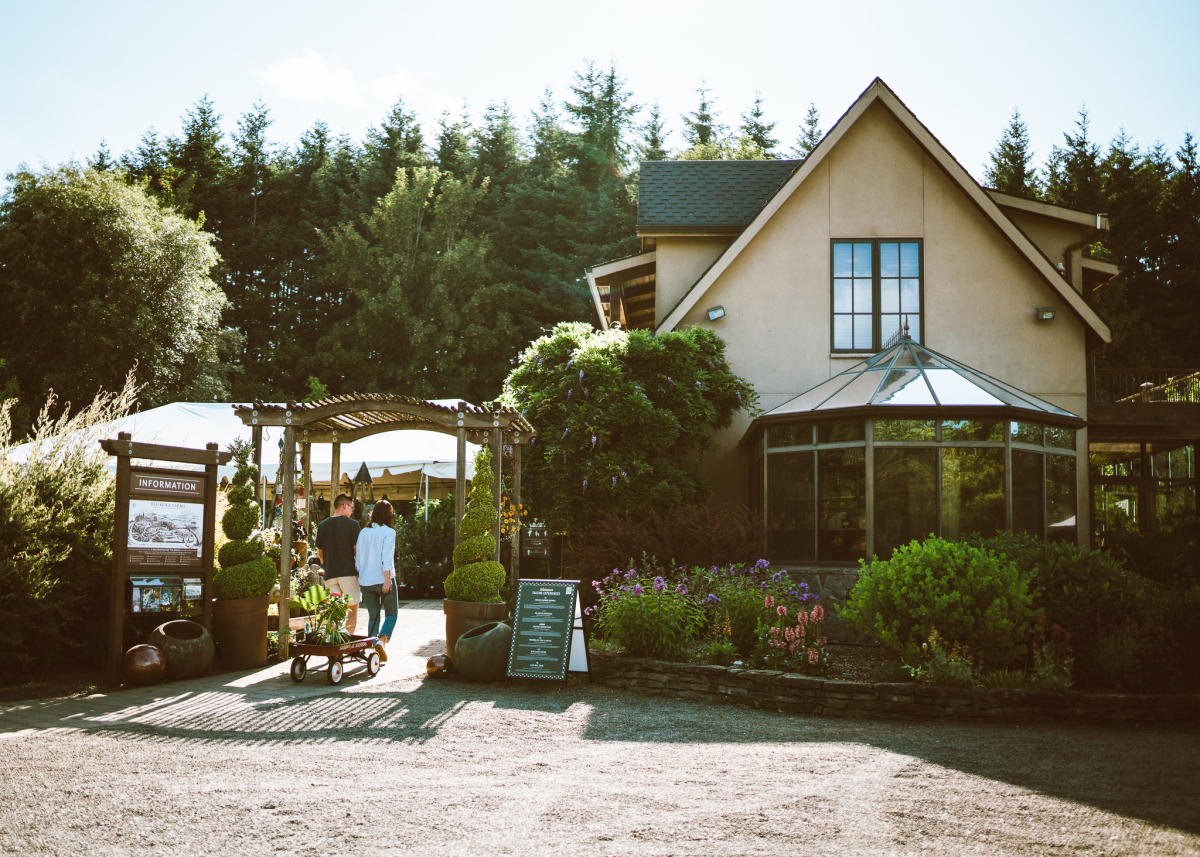 Durant vineyards discount