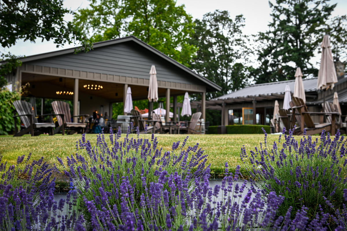 Durant Vineyards