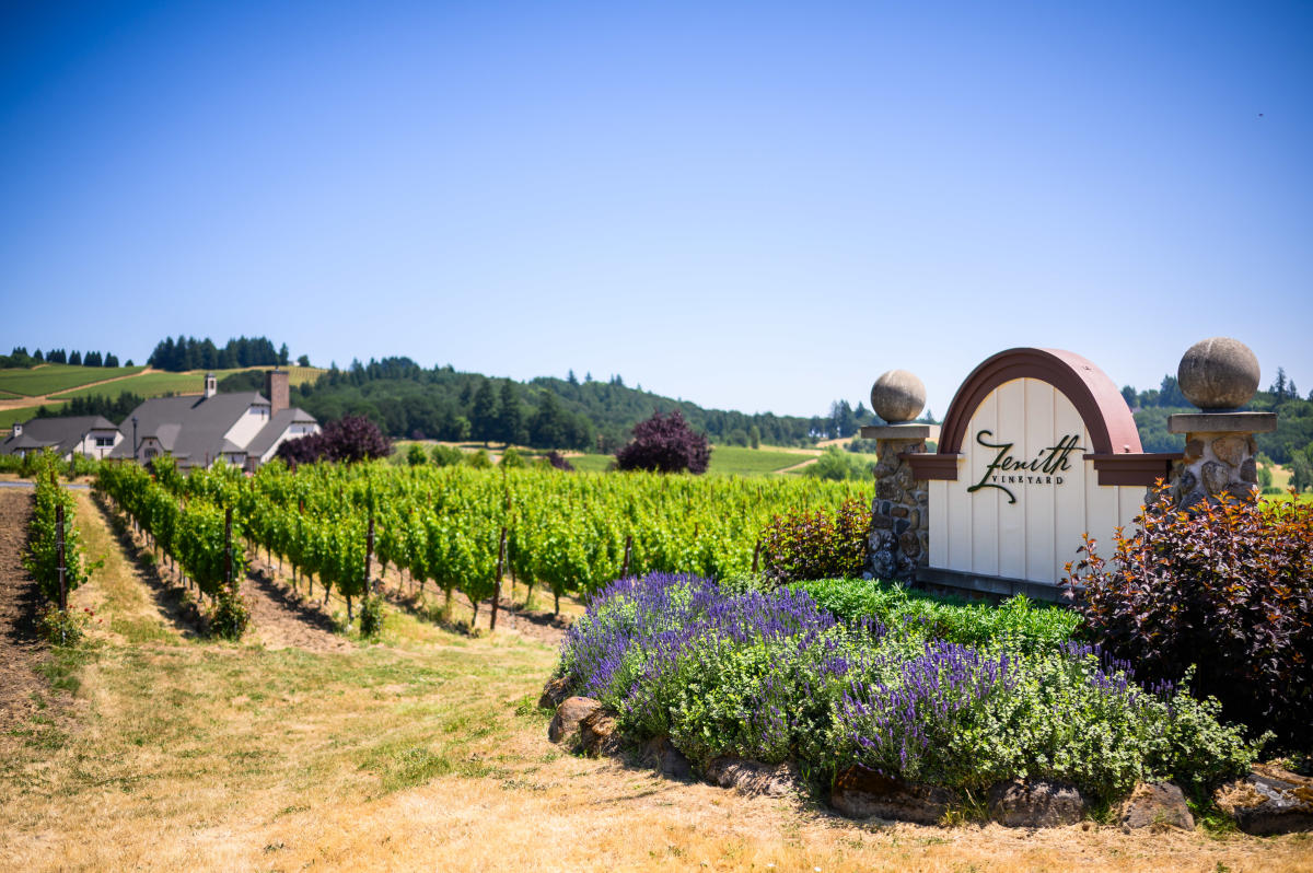 Our-Wedding-1_D414F971-C5C4-