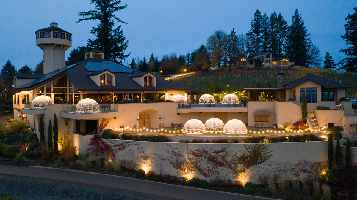 Willamette valley vineyard cheap