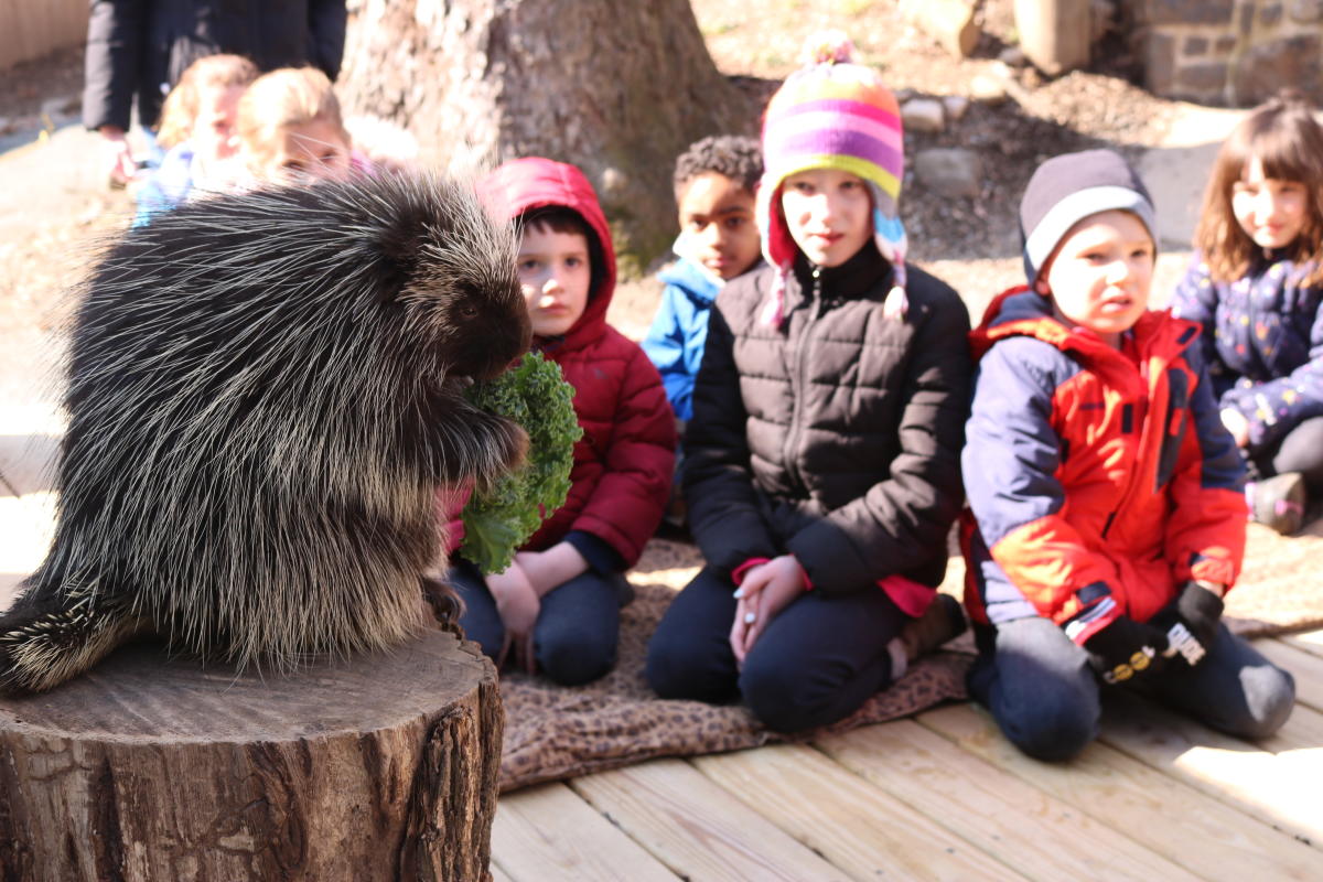 Brandywine Zoo Wilmington, DE 19802