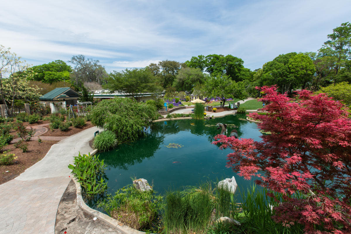 The Wilmington Arboretum