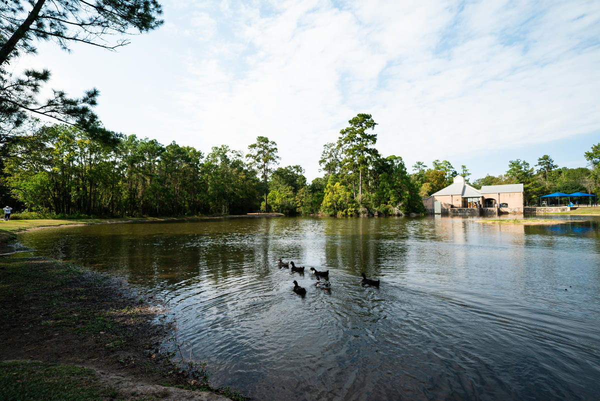 Alden Bridge Park