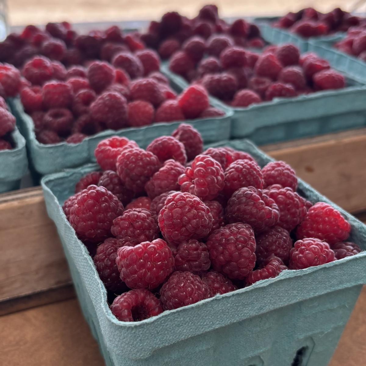 Heider's Berry Farm