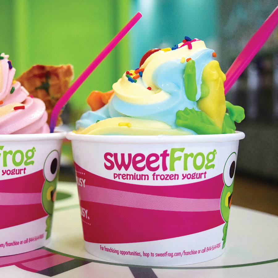 Sweet Frog Fort Mill