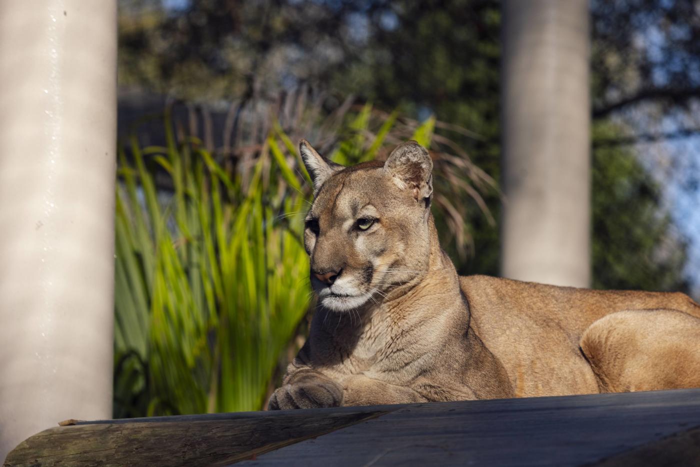 ZooTampa