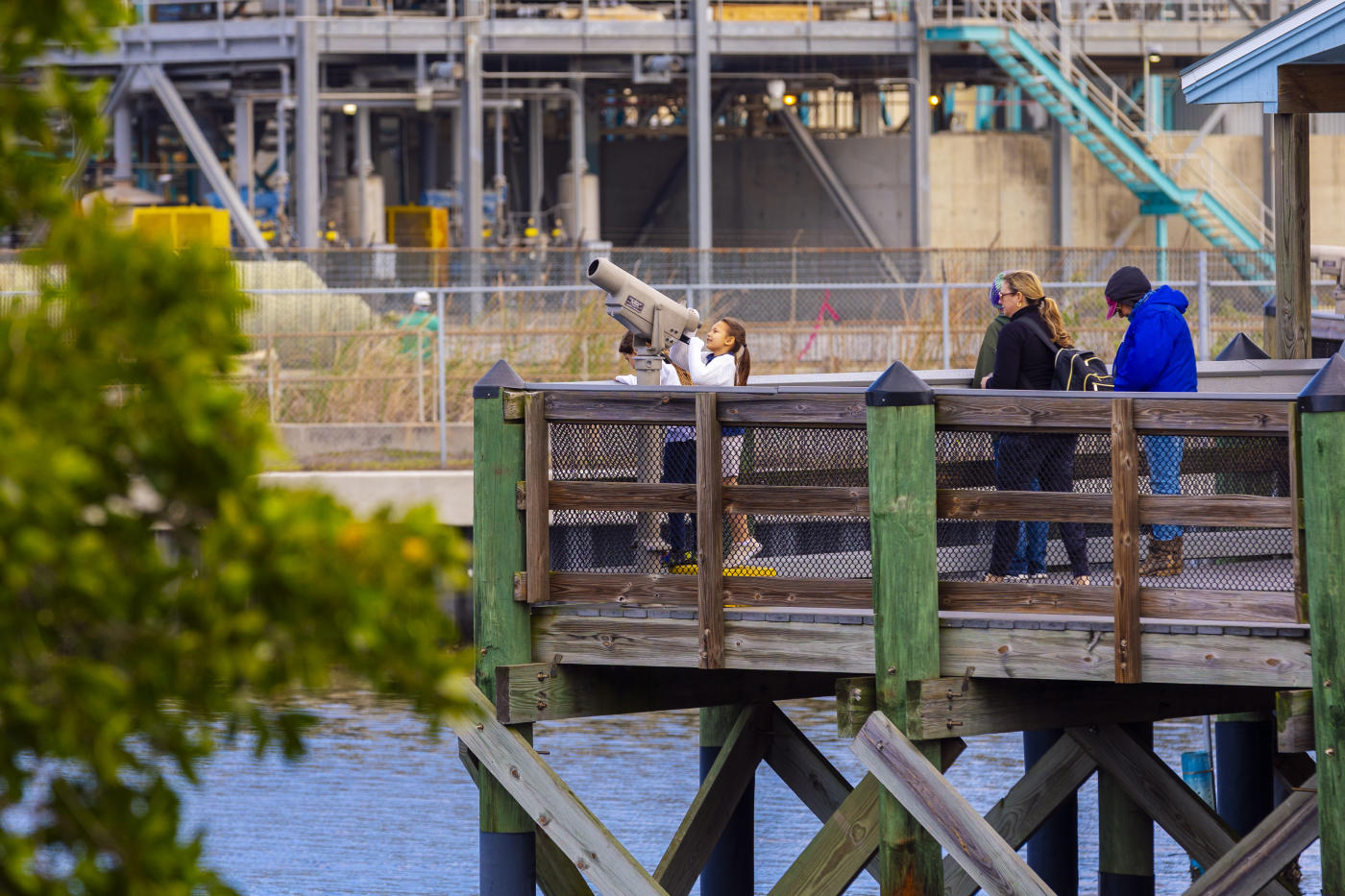 TECO Manatee Viewing Center