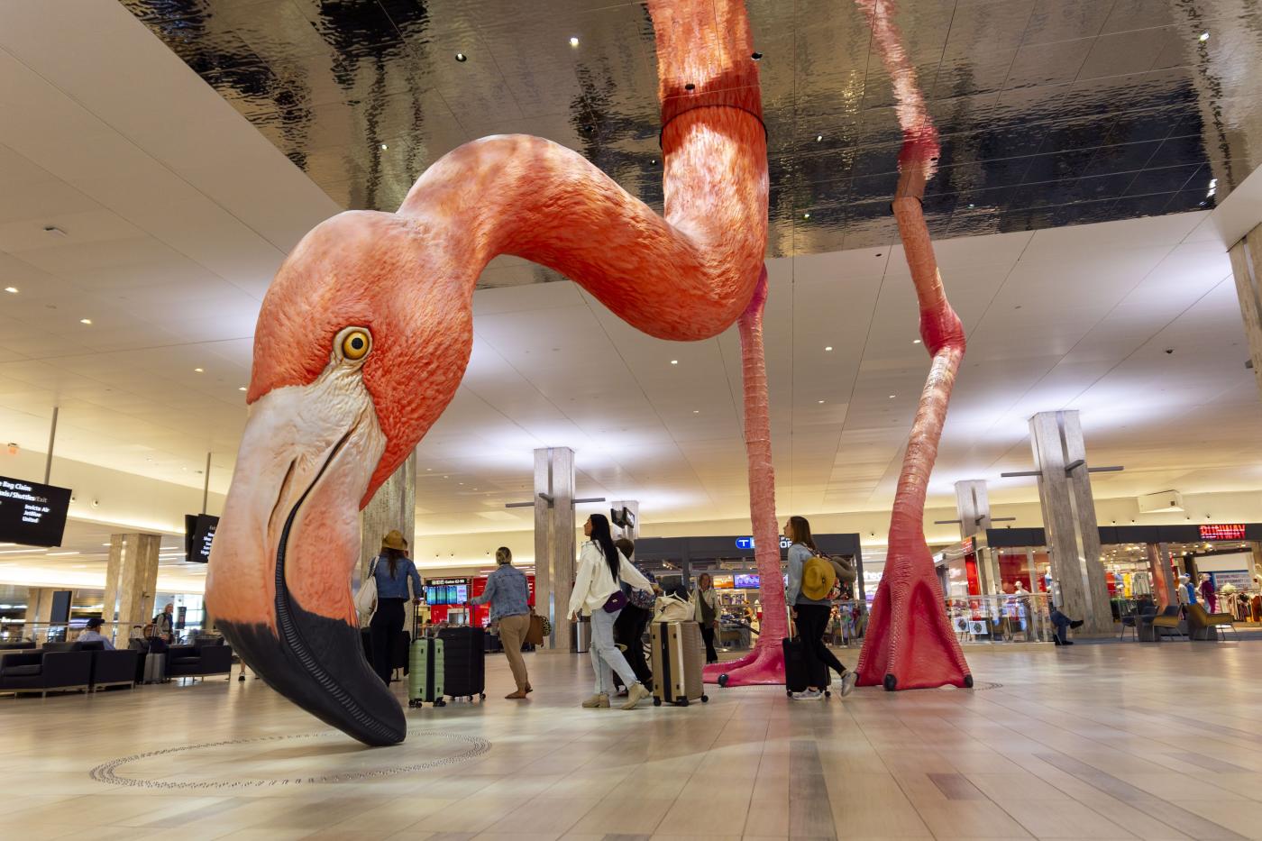 Phoebe, the Tampa International Airport Flamingo