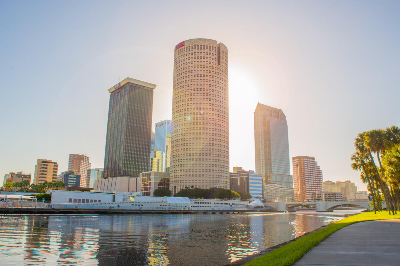 Downtown Tampa Skyline