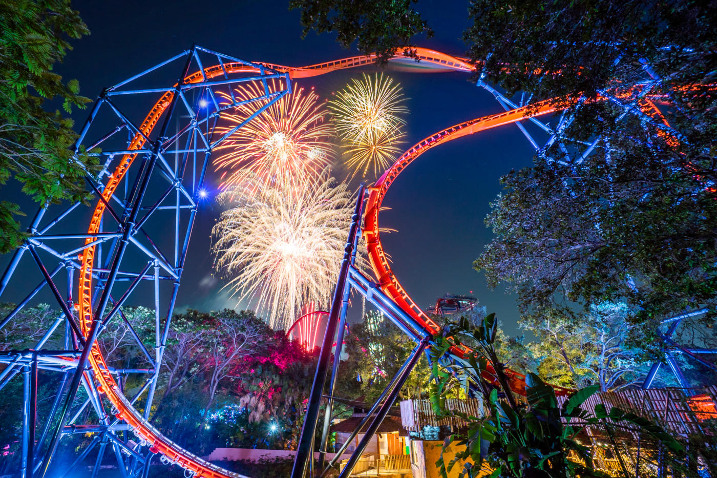 Busch Gardens Summer Nights