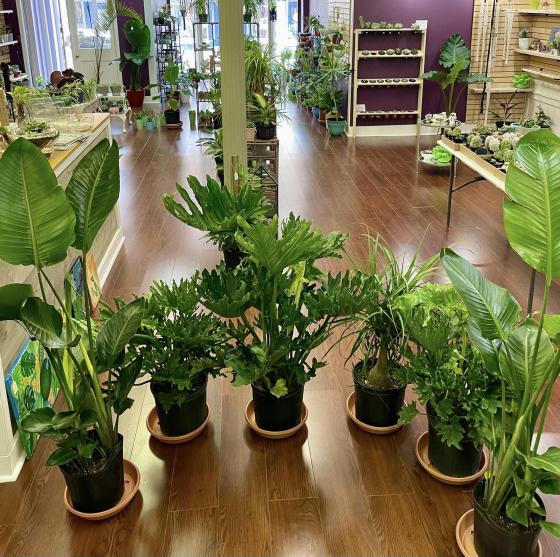 House of Flowers York, PA 17401