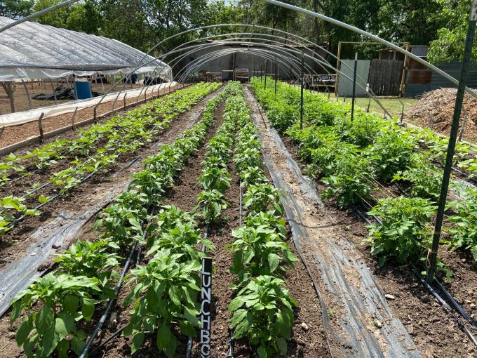 Eden East Farm Bastrop, TX 78602