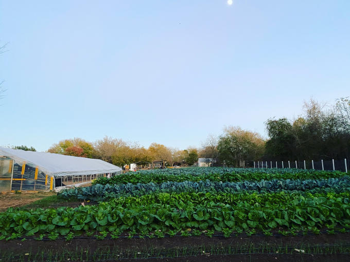 Eden East Farm Bastrop, TX 78602