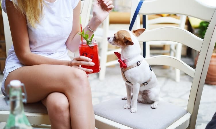 Dog Friendly patios in houston