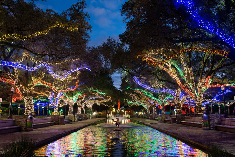 Trees with Christmas lights along a water feature in Houston