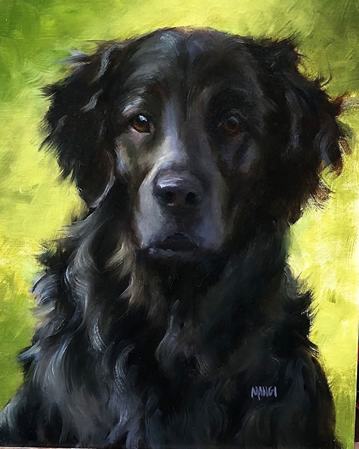 Johanne mangi store dog portraits