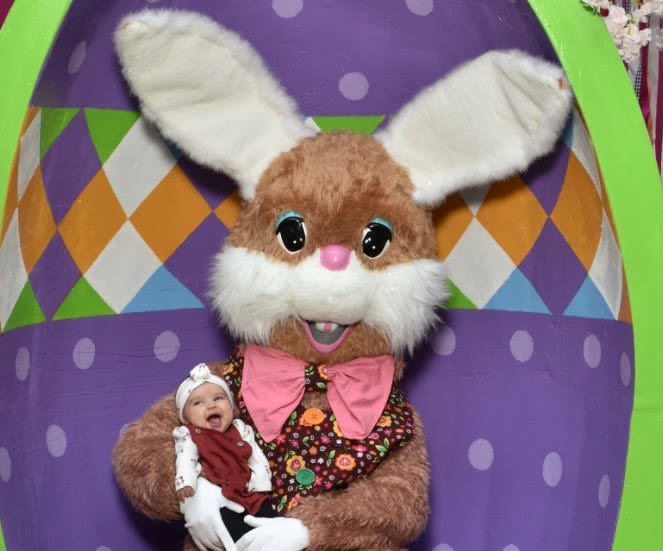 Family pets greenbrier mall online
