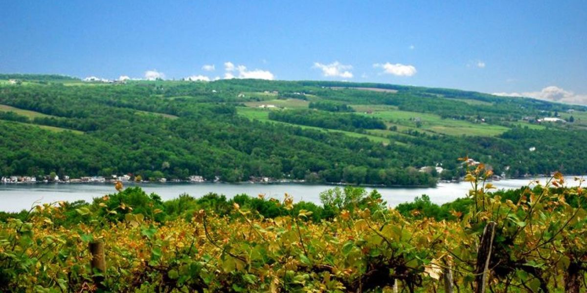 Lake online keuka wineries