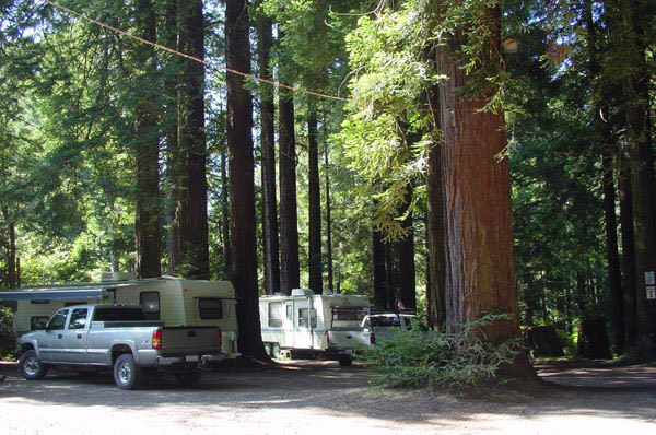 Camping On The Redwood Coast