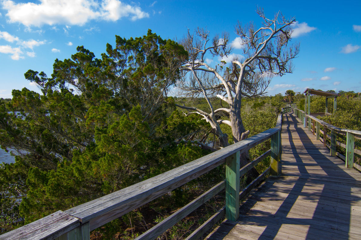 Betty Steflik Memorial Preserve