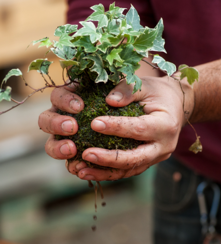 Kokedama Class (How to Make a Japanese Moss Ball)