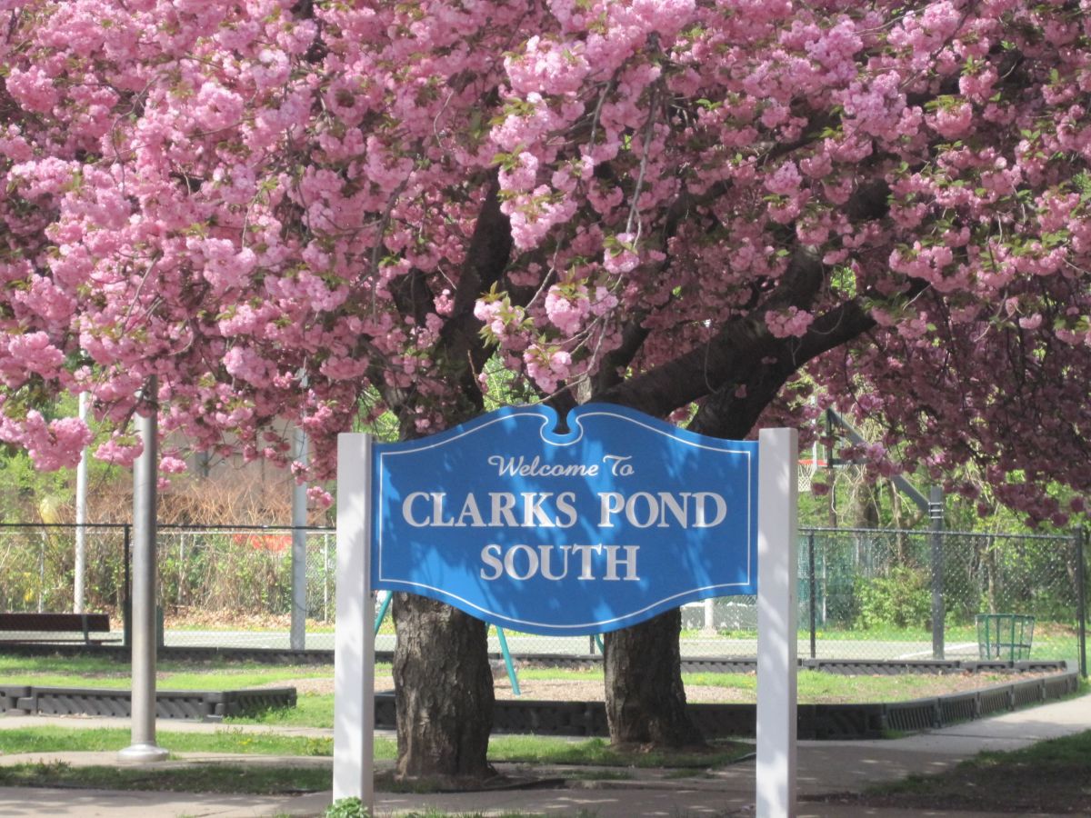 Clarks Pond