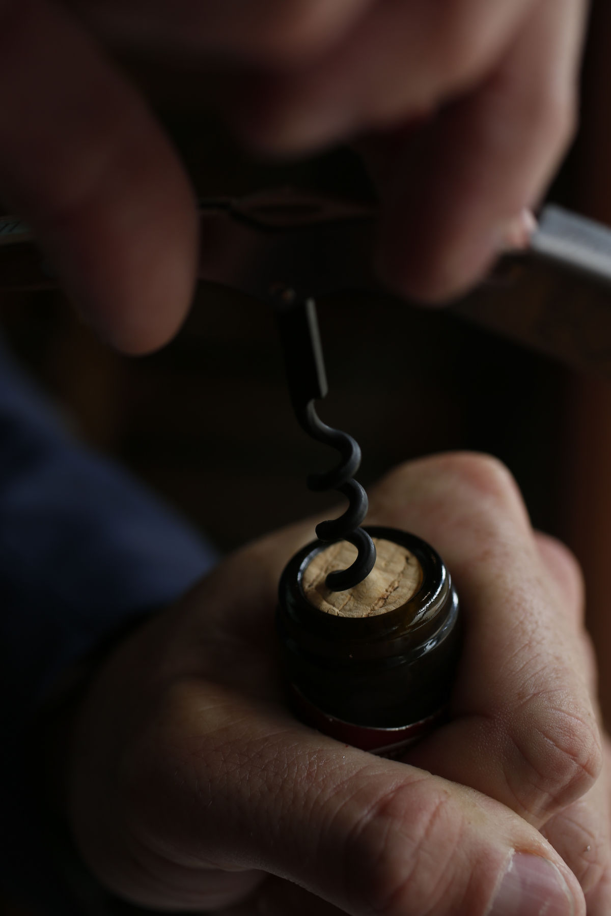 Herbsaint Bar & Restaurant