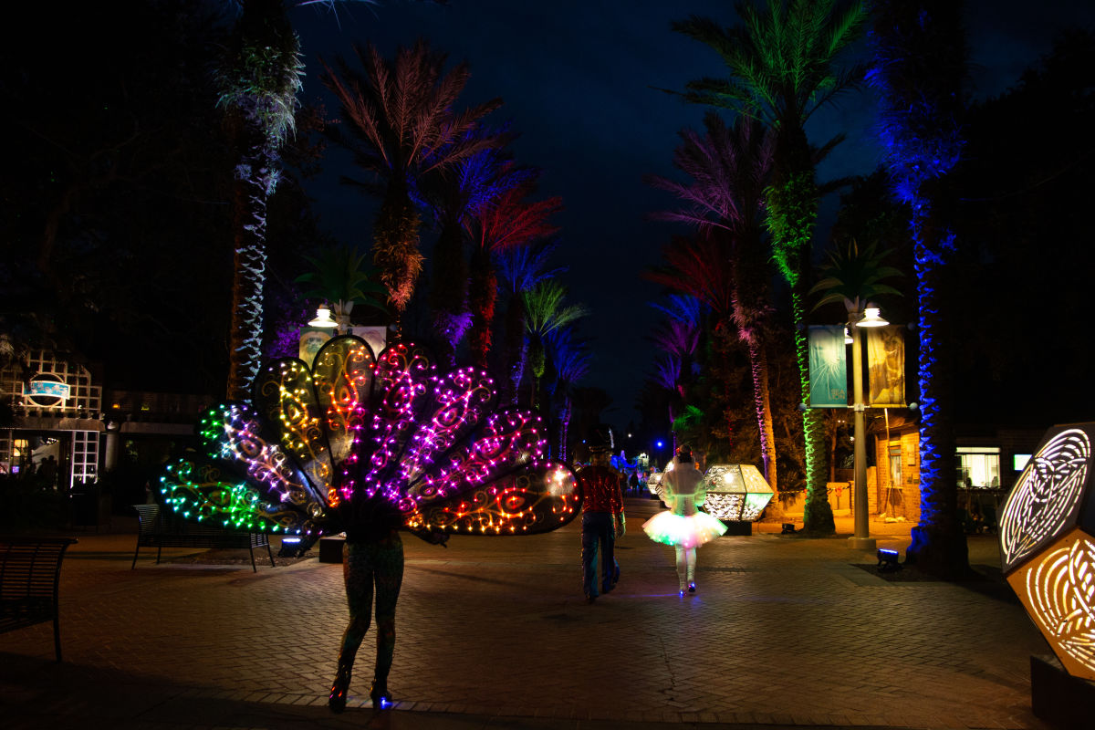 Audubon Zoo Lights