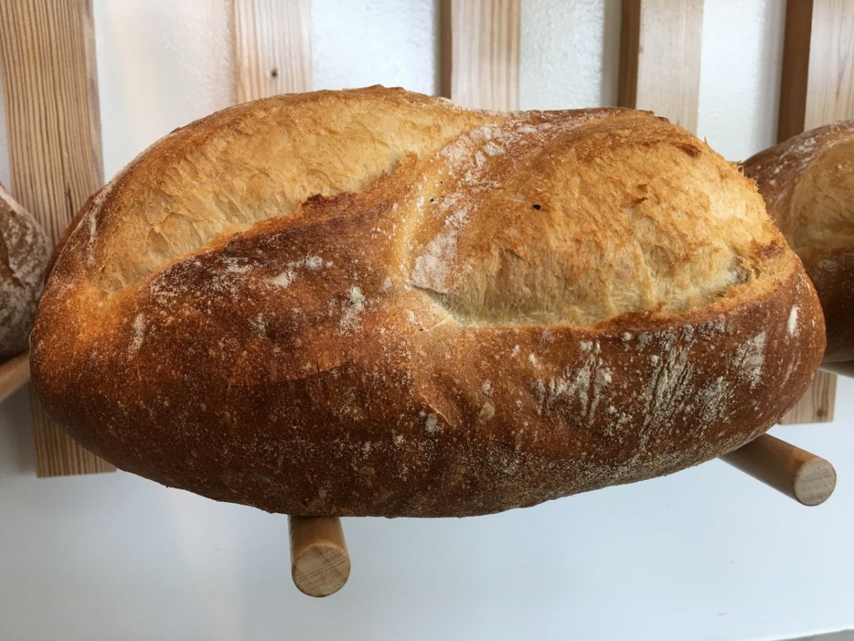 Yellow Dog Bread Company Raleigh, NC 27604