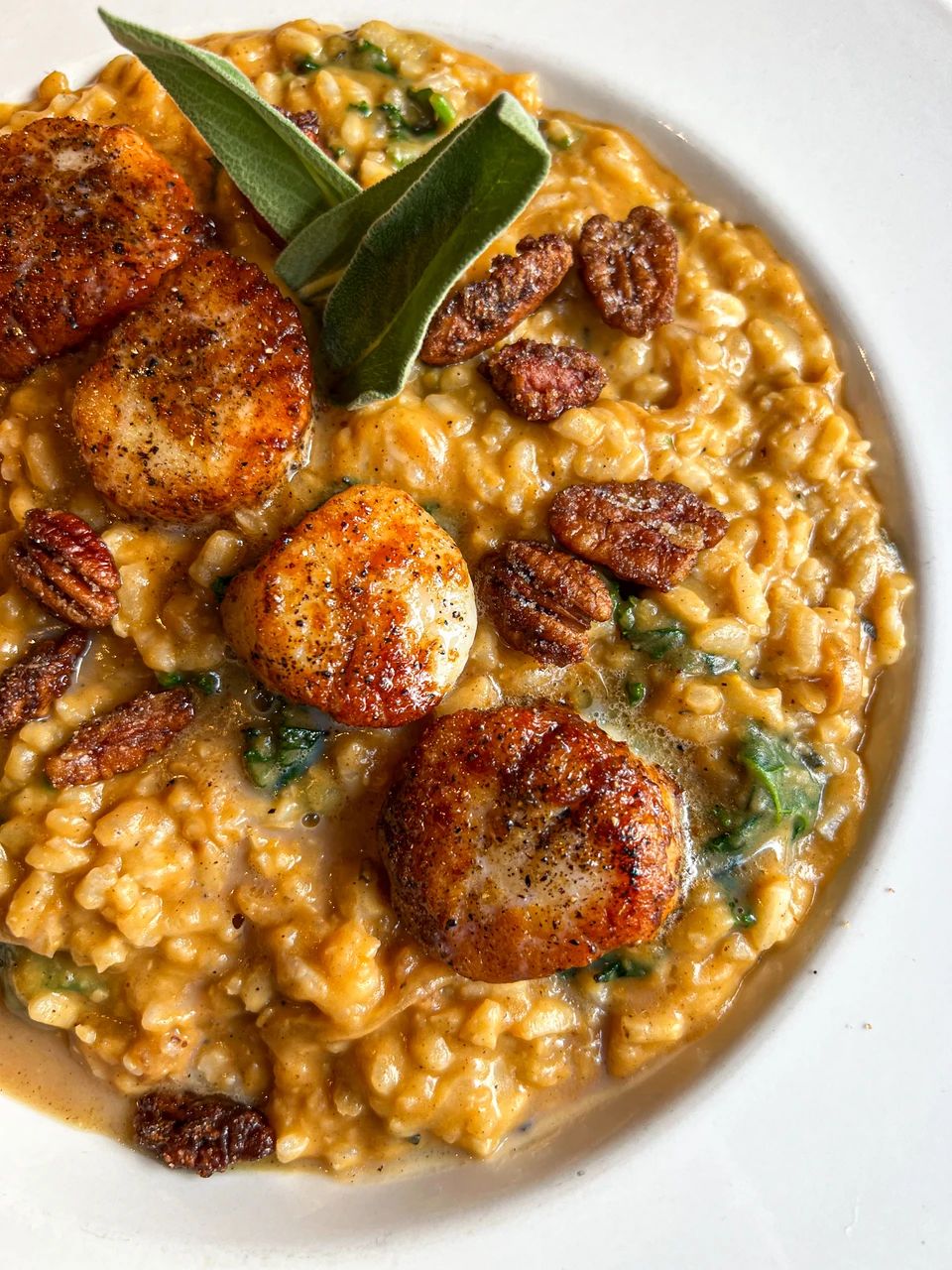 Gravy Raleigh, NC 27601