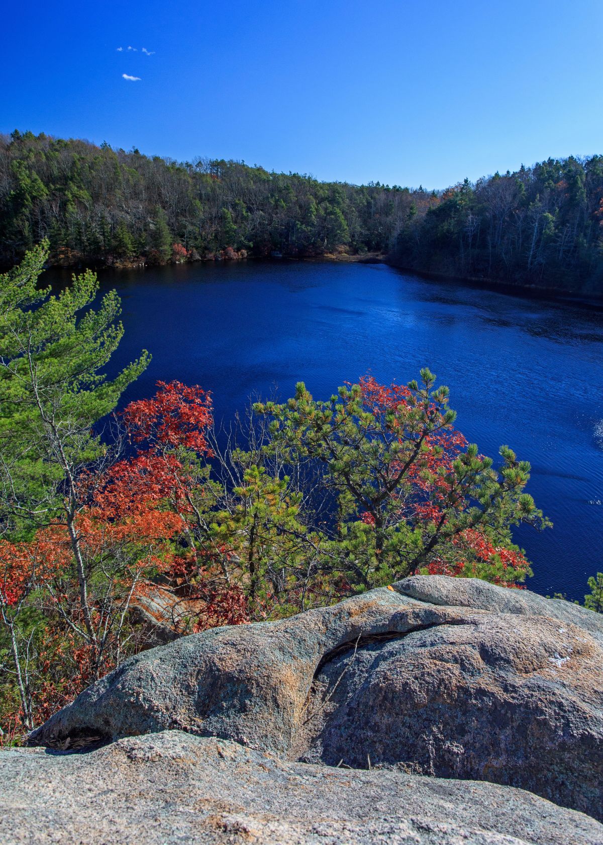 Ell pond preserve on sale trailhead