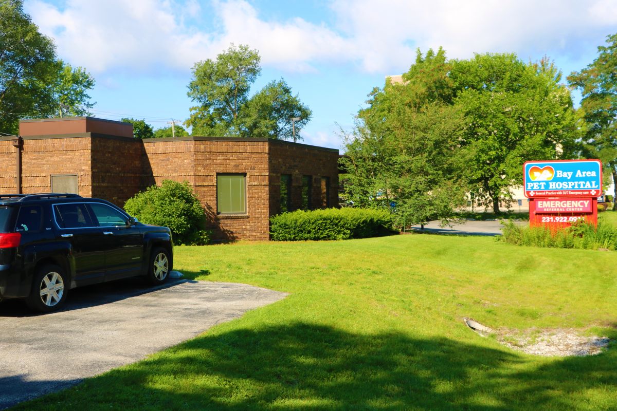 Bay Area Animal Hospital Traverse City MI 49686