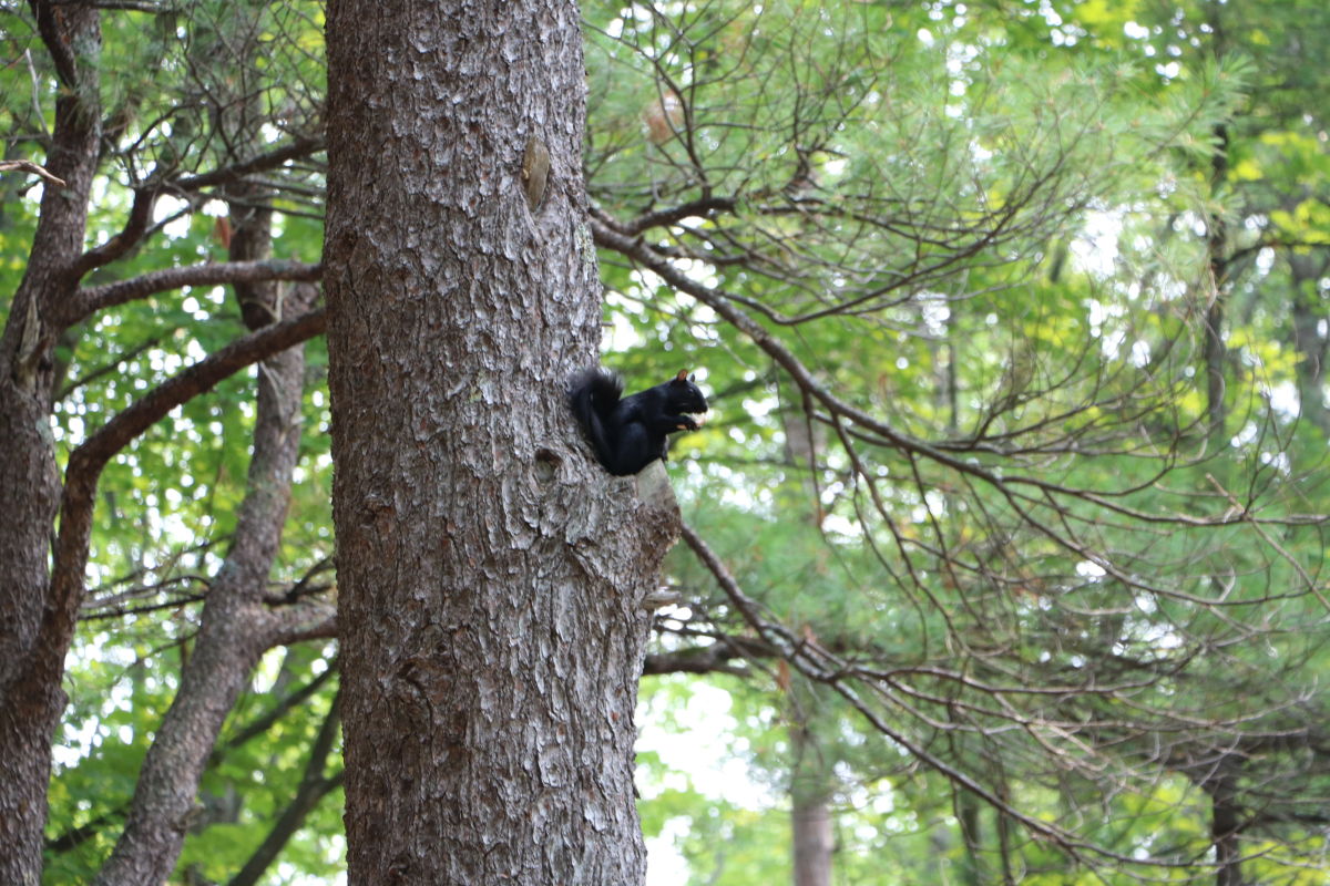 Crystal Gardens Frankfort, MI 49635